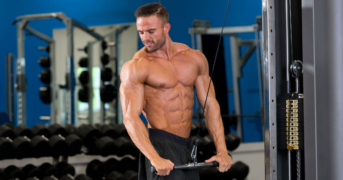 Dieting and Exercise Tips for Muscle Building – A Beginners Guide