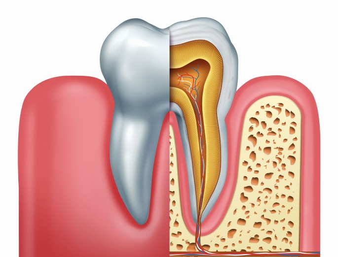 Everything worth knowing about root canal retreatment