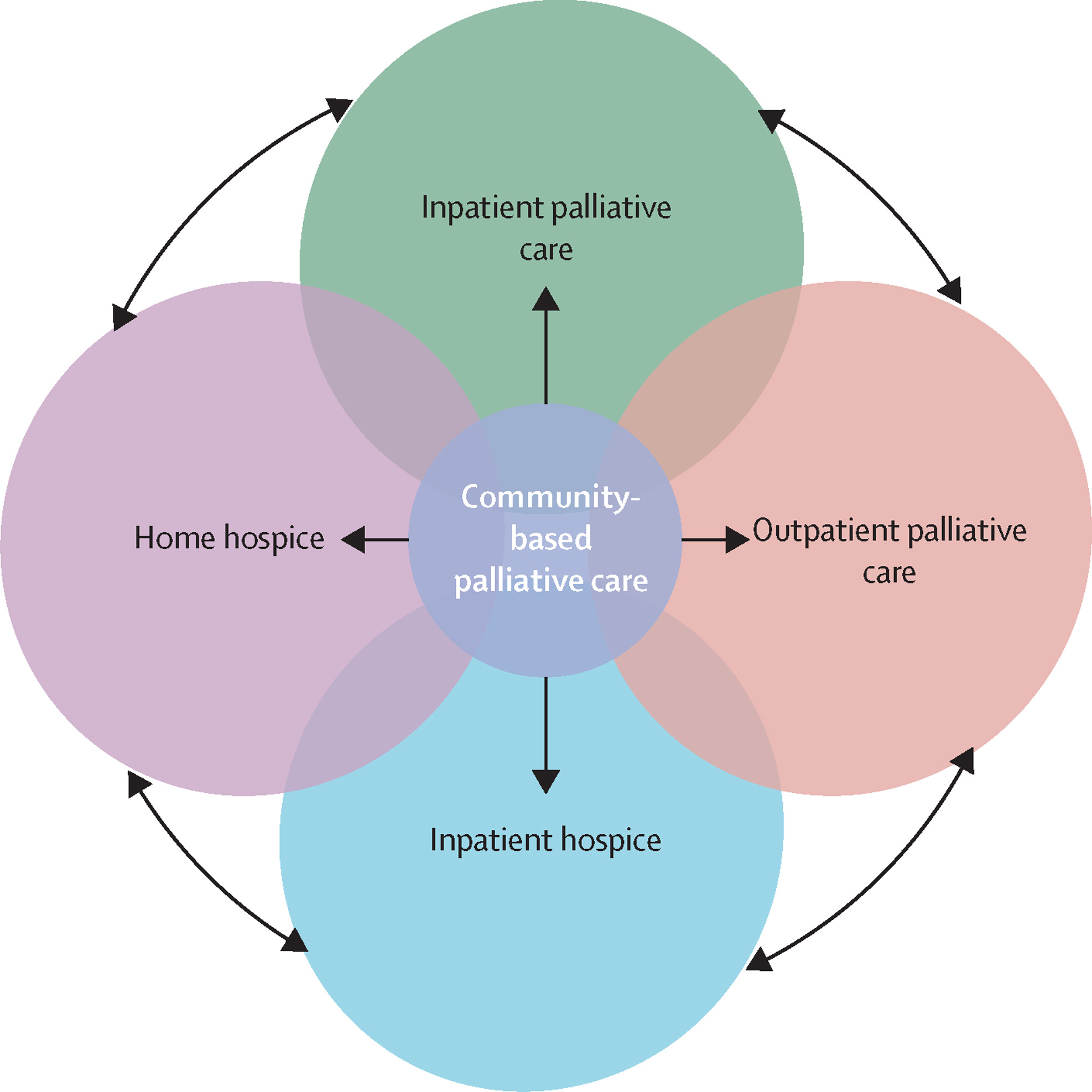 The Role of an Oncologist in Palliative Care